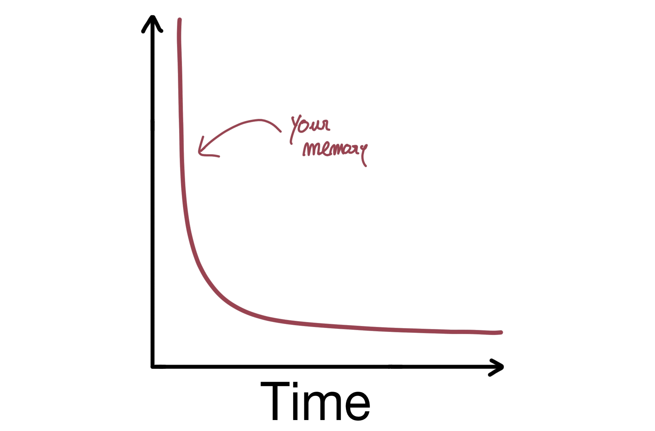 The forgetting curve
